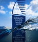 Barcelona’s Olympic Sailing Week