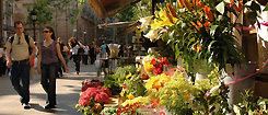 La Rambla