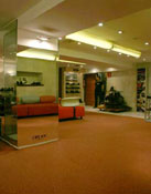 Casas International