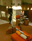 Casas International